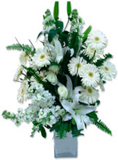 White Flowers Arrangements