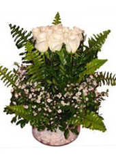 11 White Roses Arrangement