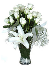 Beyaz Güller ve Lilyum